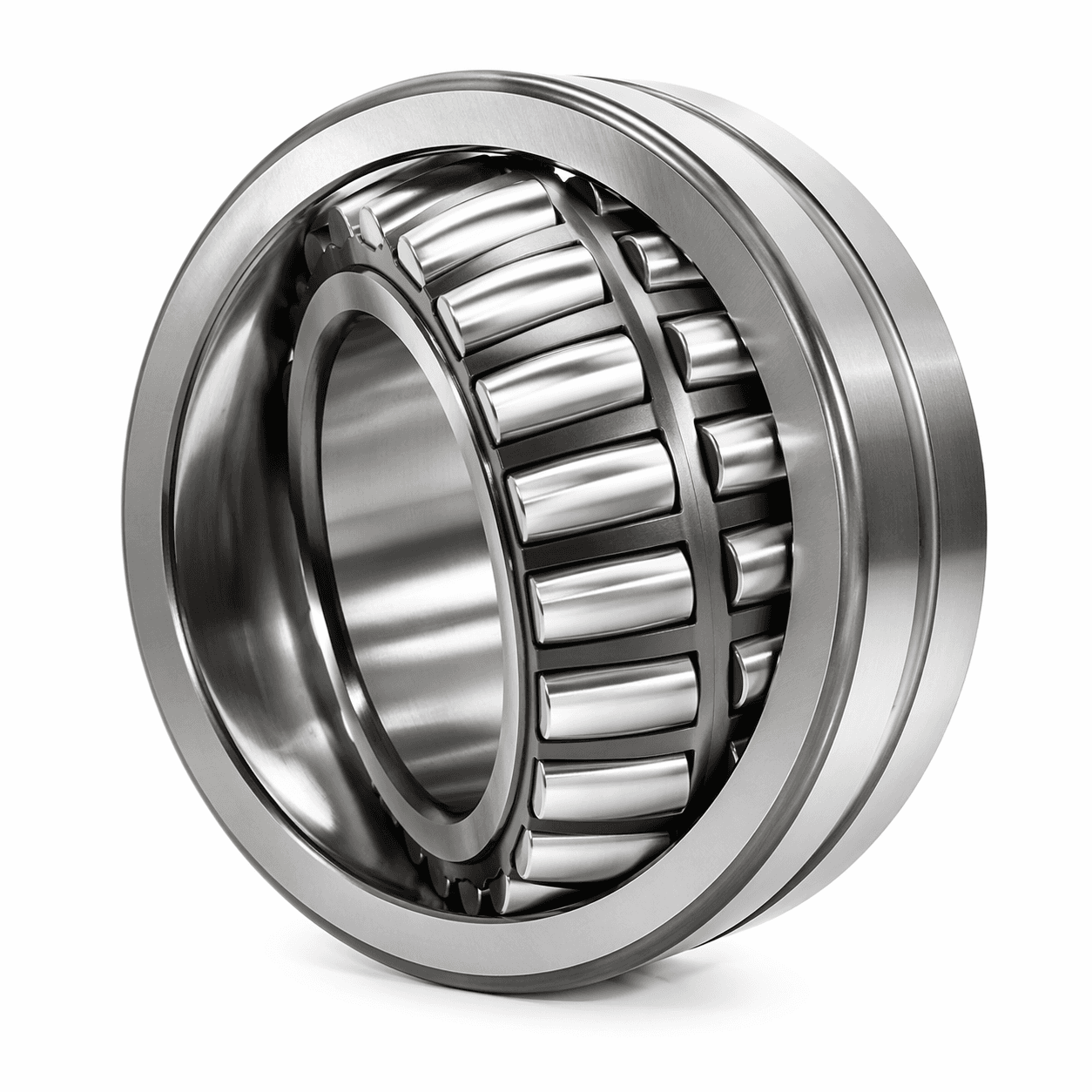 CARB Toroidal Bearing